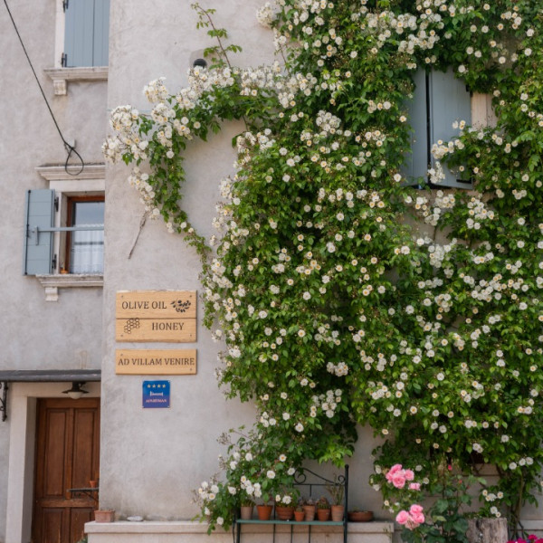 Ad Villam Venire, 4-star Apartment in Istria, Croatia | Ad Villam Venire, Momjan Momjan