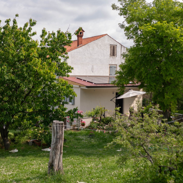 Ad Villam Venire, 4-star Apartment in Istria, Croatia | Ad Villam Venire, Momjan Momjan