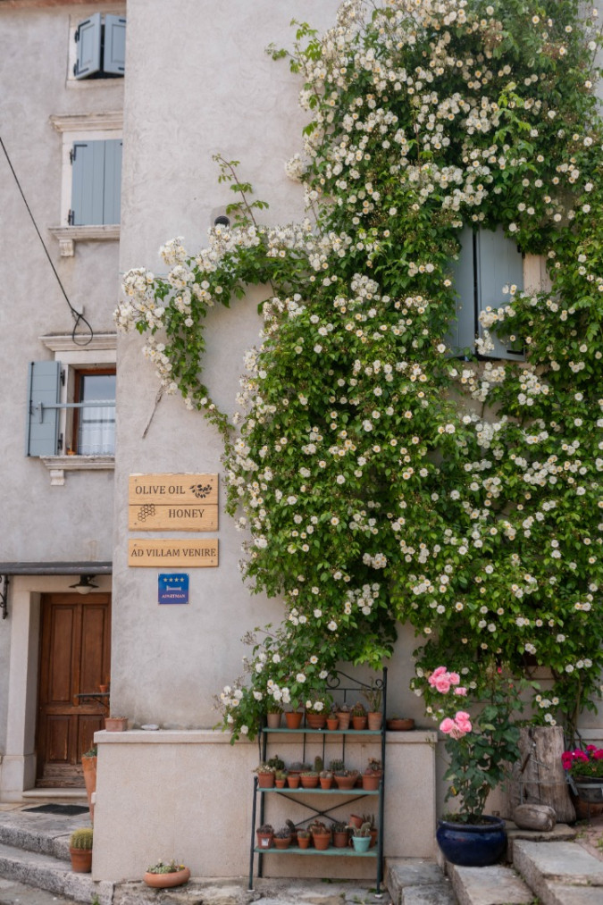 4-star Apartment in Istria, Croatia | Ad Villam Venire, Momjan Momjan