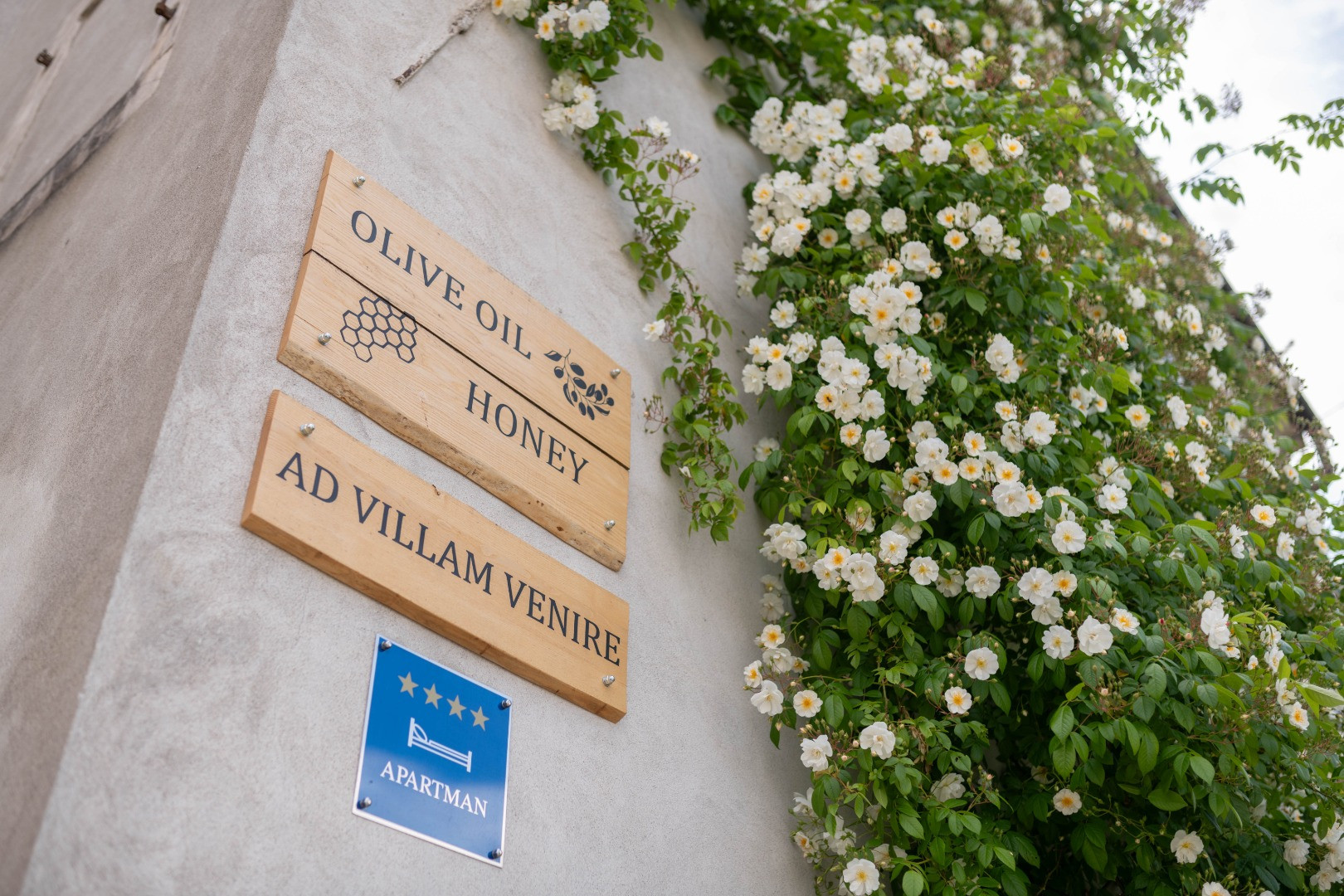 4-star Apartment in Istria, Croatia | Ad Villam Venire, Momjan Momjan